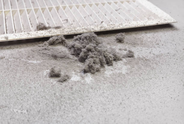 Best Commercial HVAC Duct Cleaning  in Orlinda, TN